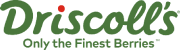 Preview Logo