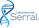 Preview Logo