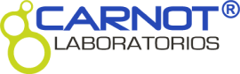 Preview Logo